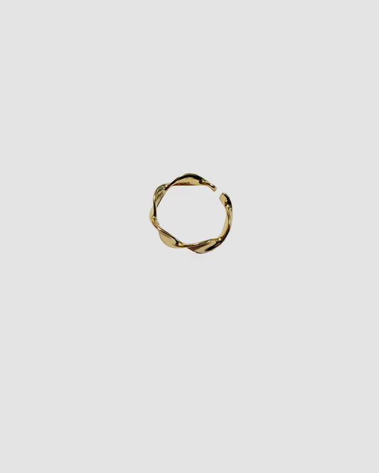 Escher-Ring